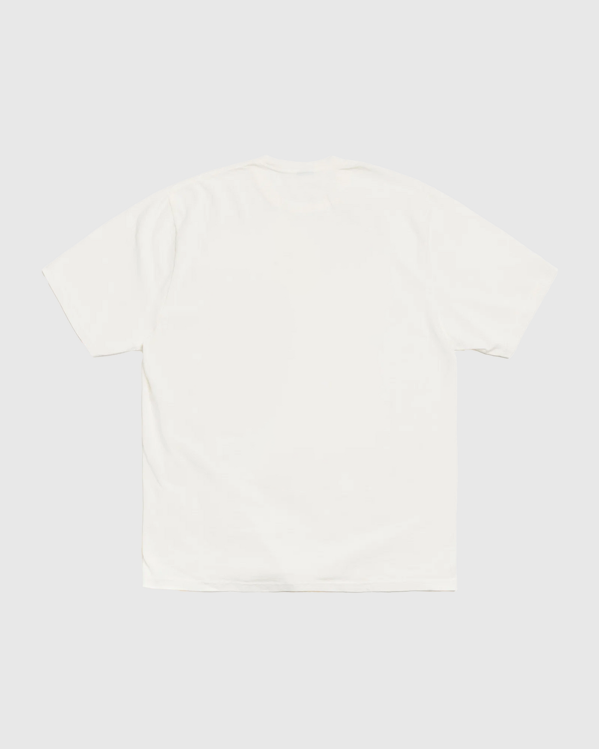 Camiseta Oversized Flores Silvestres