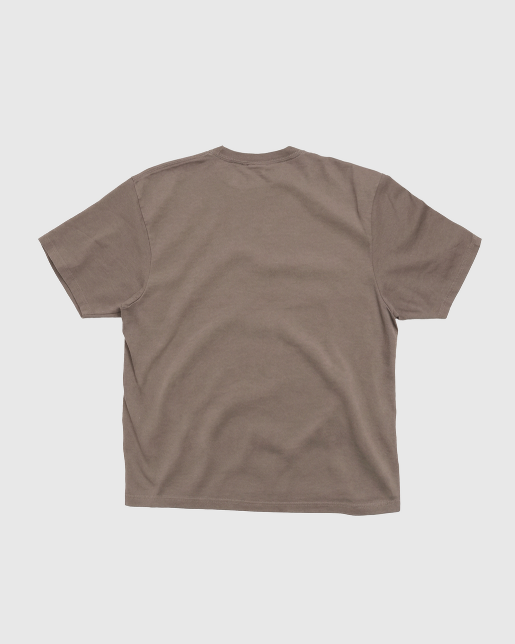 Camiseta Oversized ASIGNATURE Signature