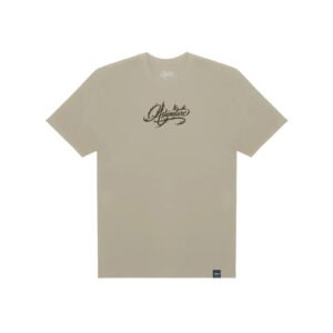 camiseta-oversized-bege-flame-script-tee-sand-asignature